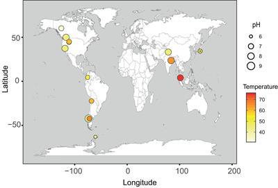 Taxonomic Novelty and Distinctive Genomic Features of Hot Spring Cyanobacteria